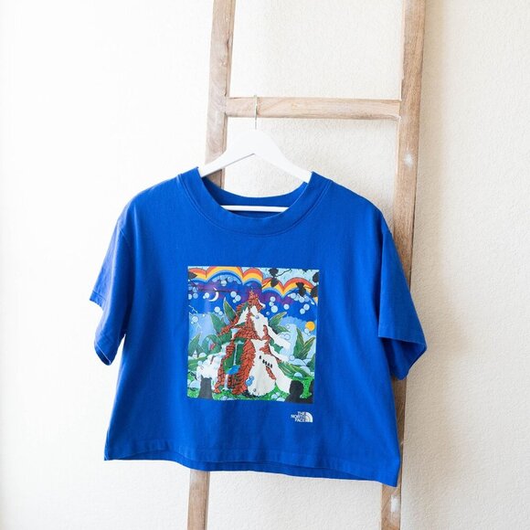 The North Face Women Sz L Blue Graphic Colorblock Boxy Tee Cropped - Picture 3 of 8